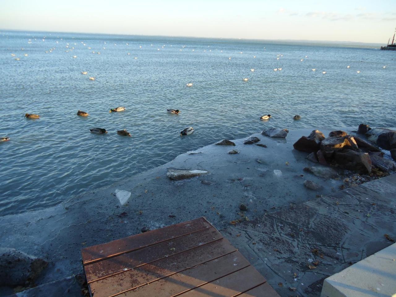 Kek Laguna Vendeghaz Balatonfured Bagian luar foto